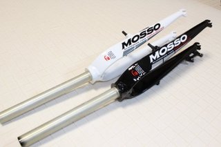 4-2mossomd5.jpg